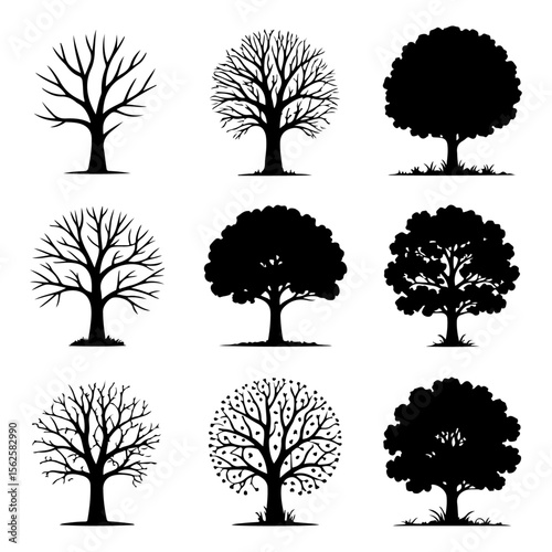 Unique and high quality Tree silhouette set