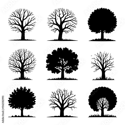 Unique and high quality Tree silhouette set