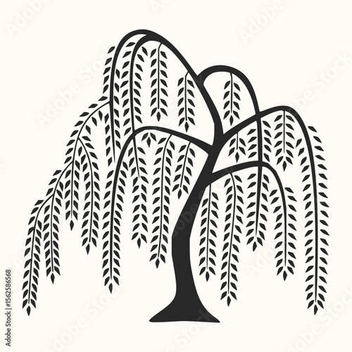 Illustration of a weeping willow tree with cascading branches and leaves in black and white design