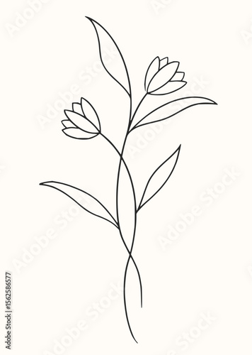 A simple line drawing of a floral stem with two blossoms and several long pointed leaves design element
