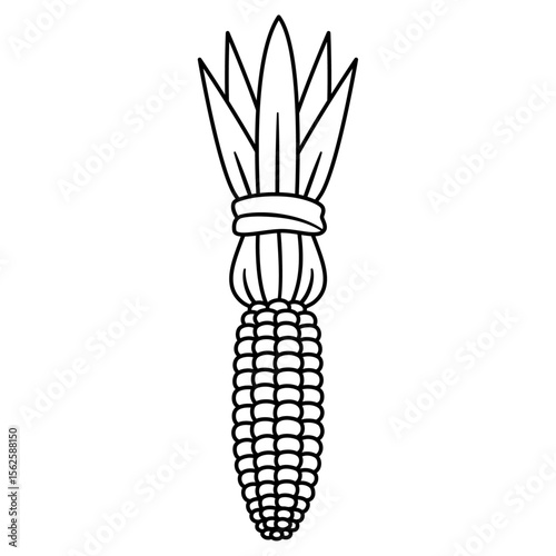 Dried maize icon; ear of corn with husk tied back. Farm & agriculture, autumn harvest décor, or Thanksgiving decorations. Black and white vector illustration with adjustable stroke weight.