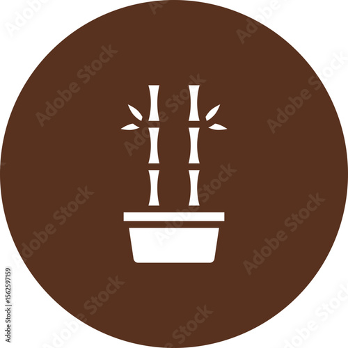 Lucky Bamboo Plant Vector Icon Design