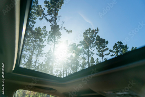 road travel sunroof view