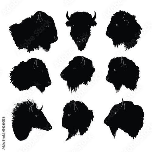 bison head silhouette set, Black & White silhouette set