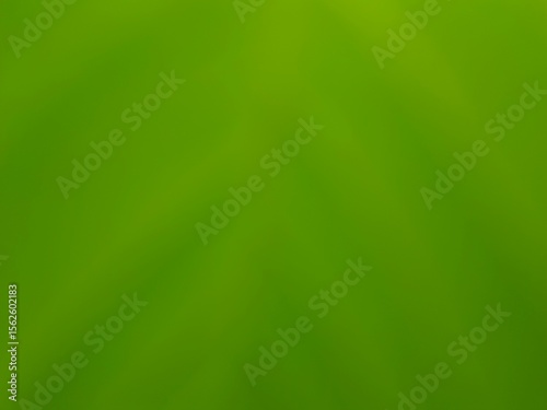 Fresh green gradient background with soft blur and natural feel. Perfect for eco themes, wellness, digital design, nature concepts, or organic branding visuals.