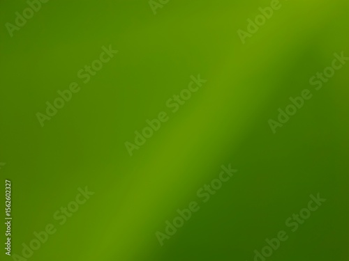 Fresh green gradient background with soft blur and natural feel. Perfect for eco themes, wellness, digital design, nature concepts, or organic branding visuals.