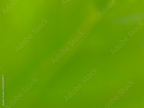 Fresh green gradient background with soft blur and natural feel. Perfect for eco themes, wellness, digital design, nature concepts, or organic branding visuals.