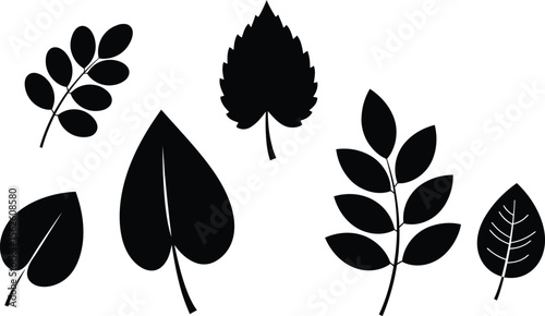 Collection of black silhouette leaves with various shapes and sizes natural design elements for decoration and illustration 