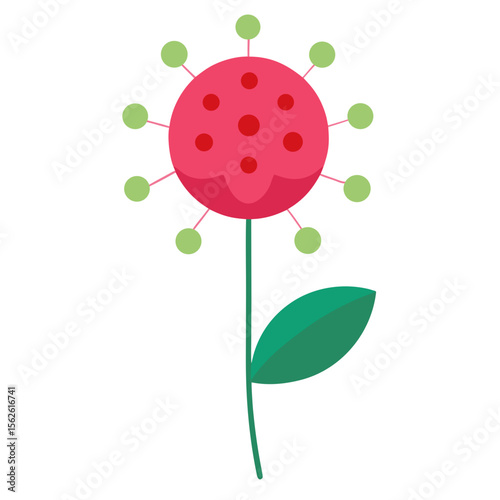 Pincushion Flower on white background