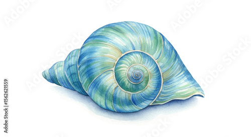 Watercolor Illustration of a Detailed Blue and Green Seashell on White Background