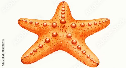 Detailed Watercolor Painting of an Orange Starfish