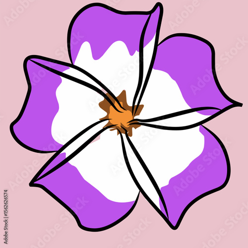 Frangipani flower vector ilustration. Also known as plumeria flower. Beautiful flower that has a distinctive fragrant aroma. Has various types of flower colors
