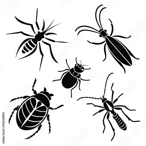 Collection of Insects Detailed Black and White Silhouettes