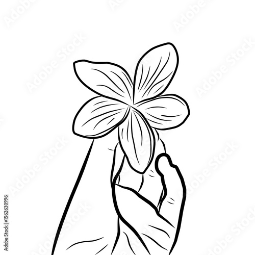 a woman holding a frangipani flower vector illustration