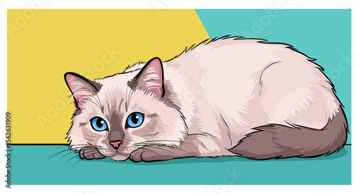 Adorable Ragdoll Kitten Illustration Blue Eyes, Fluffy Fur