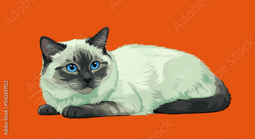 Elegant Ragdoll Cat Illustration  Blue-Eyed Feline Art