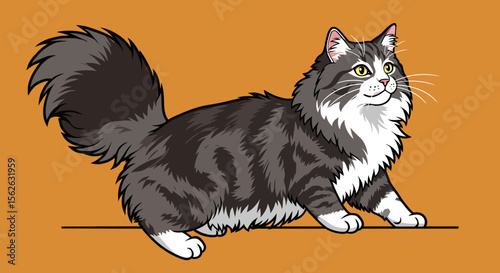 Majestic Norwegian Forest Cat Illustration Fluffy Grey and White Fur
