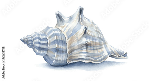Watercolor Conch Shell Illustration with Delicate Blue and Beige Tones