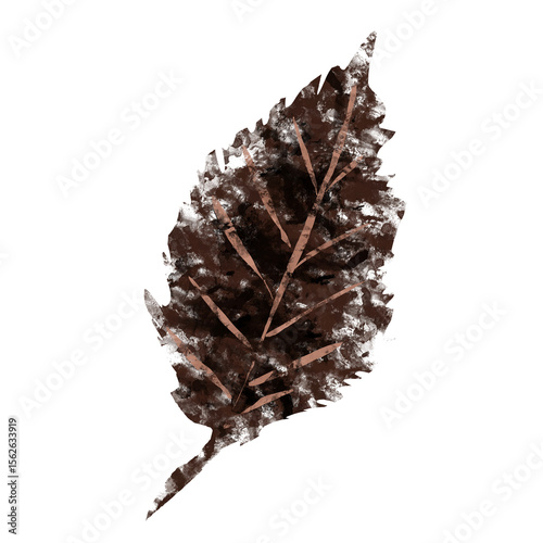 Fall season autumn leaf illustration isolated white png