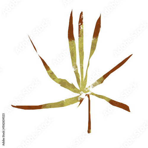 Leaf fall illustration autumn isolated backround png