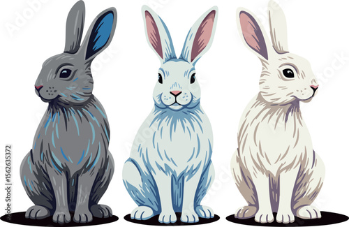 Three sitting rabbits in grey white and blue fur vector illustration with cute animal characters and natural posture