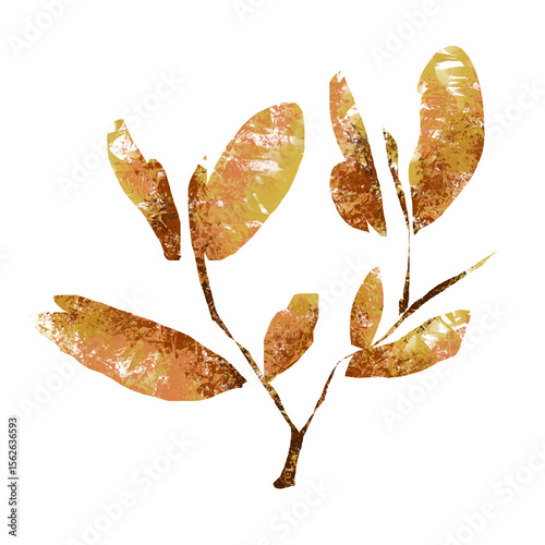 set of autumn leaves png fall illustration isolated 