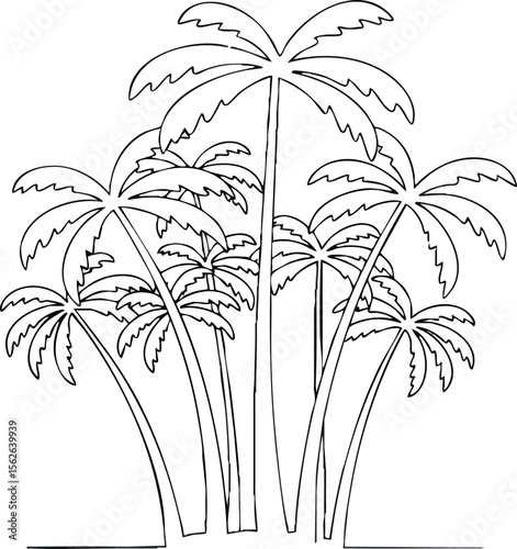 Palm trees tropical plants nature decorative botanical line art vector design illustration