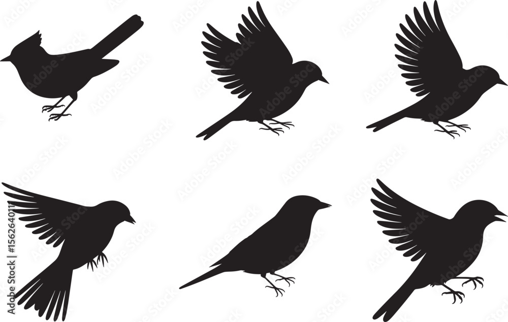 Fototapeta premium Elegant Bird Silhouettes Six Stunning Avian Designs for Projects