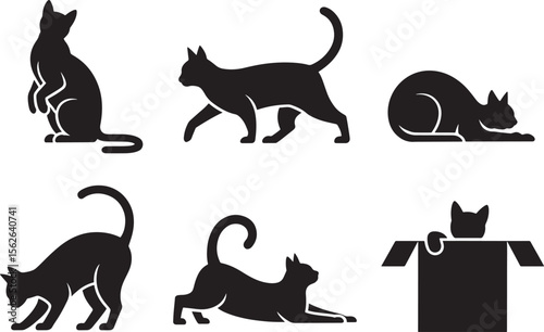 Elegant Cat Silhouettes A Collection of Poses and Styles