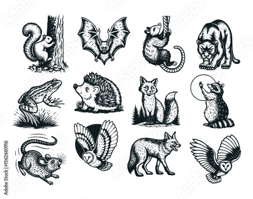 A collection of 12 black and white illustrations featuring nocturnal and forest animals like bats, owls, foxes, and hedgehogs. Ideal for nature prints, storybooks, tattoos, and woodland-themed designs