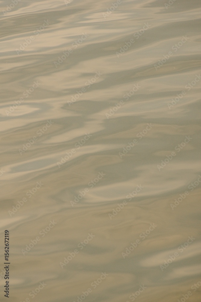 Obraz premium 水面のイメージ