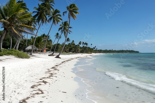Fototapeta Naklejka Na Ścianę i Meble -  A serene tropical beach with pristine white sand swaying palm trees and crystal clear turquoise water under a bright blue sky with a few wispy clouds