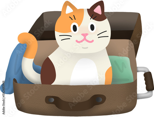 여행가방 안에 들어간 고양이