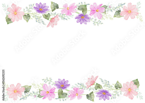 Watercolor top and down frame with purple and pink cosmea flowers. Hand-drawn watercolor floral frame. Perfect for wedding invitations, botanical prints, minimalist home decor, romantic greeting cards
