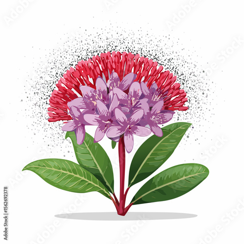 vivid fuchsia silica-dust thalictrum bloom with textured crosshatched petals