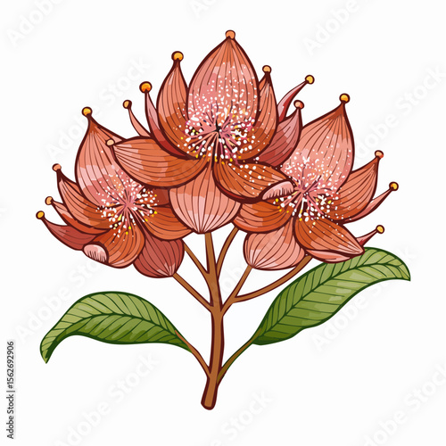 warm copper silica dust gently dusting thalictrum petals with fine twiggy stem accents
