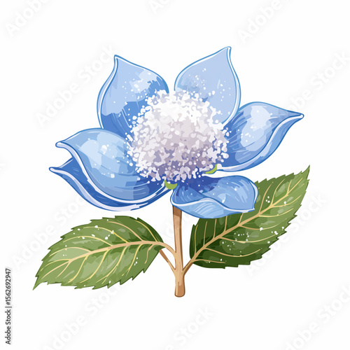 icy blue thalictrum flower heads dusted with frosted silica and light gray crosshatch