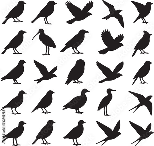 Set of Unique Bird Silhouettes – Flying and Perching Birds