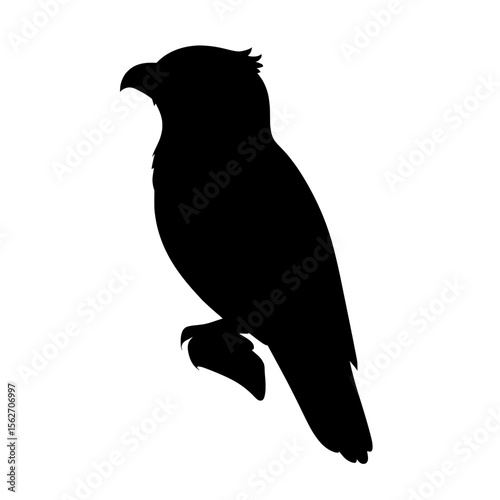 Majestic Potoo Bird Silhouette Against Bright Background