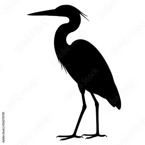 Elegant Great Blue Heron Silhouette with Graceful Contours