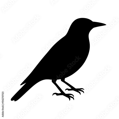 Vivid Golden Oriole Silhouette Against Bright Background, Artistic Bird Illustration