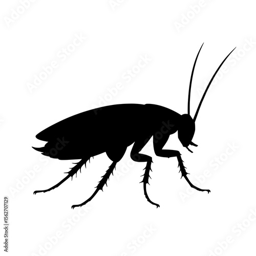 High-Resolution Silhouette of a German Cockroach on White Background