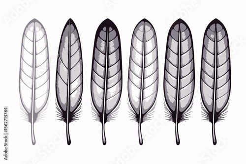Colorful Feather Collection-Delicate Bird Plumage in Artistic Arrangement-Graceful Feathers in White-Background-Beautiful Set of Vibrant Feathers