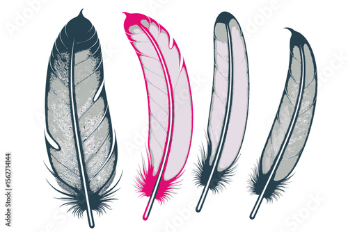 Colorful Feathers Illustration-Abstract Feather Art-Decorative Plumes Design-Elegant Feather Graphics-Vibrant Feather Collection-Artistic Feather Elements