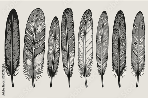Detailed Feather Art Illustration-Black and White Tribal Feather Designs-Intricate Feather Pattern Graphic-Bohemian Feather Illustration-Artistic Feather Collection