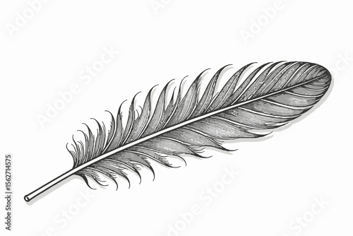 Detailed Feather Illustration- Black and White Artwork- Intricate Line Art Feather Drawing- Minimalist Feather Design- Elegant Feather Image for Creative Projects
