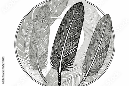 Detailed Feather Illustration-Intricate Feather Designs-Monochrome Feather Art-Black and White Feather Pattern-Feather Mandala Design