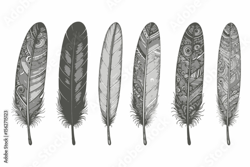 Detailed Feather Illustrations - Black and White Feather Art - Intricate Feather Designs - Artistic Feathers for Crafts and Decor - Bohemian Style Feather Graphics