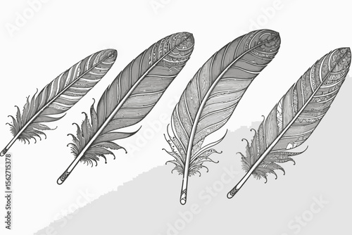 Detailed Feather Illustrations-Ornate Line Art Feathers on White-Intricate Pen and Ink Feather Designs-Vintage Style Feather Artwork-Black and White Feather Drawing