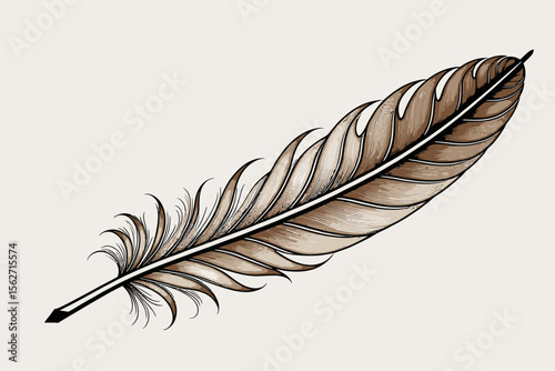 Elegant Brown Feather Illustration- Detailed Bird Feather Drawing- Vintage Style Feather Art for Crafts and Design- Feather Quill Pen Inspiration